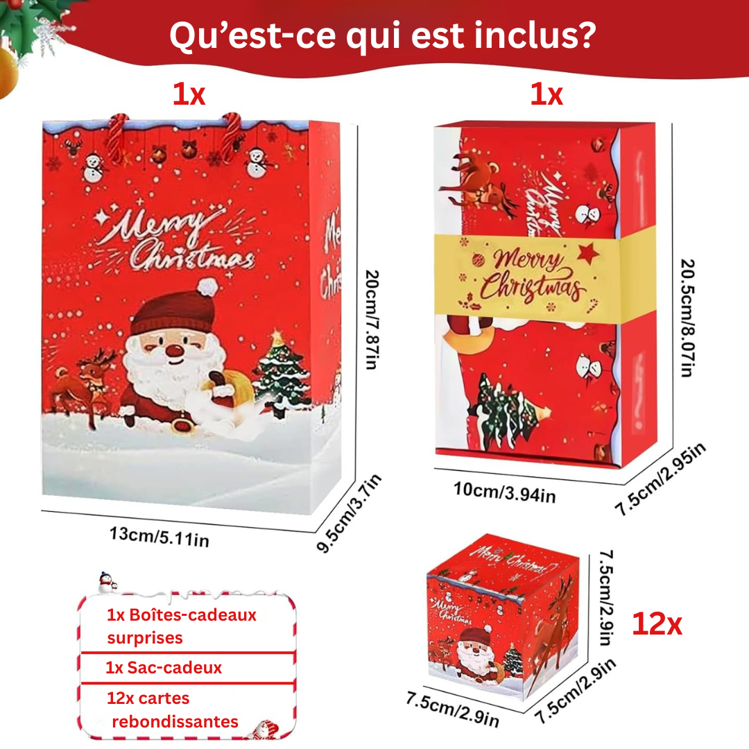 Boîtes-Cadeaux Surprises